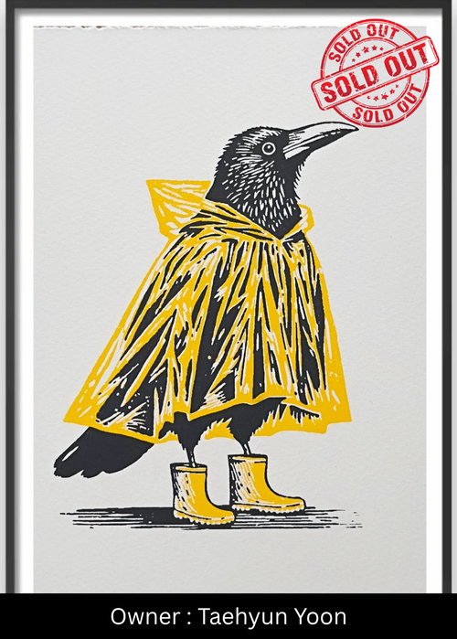 The Rainy Day Raven