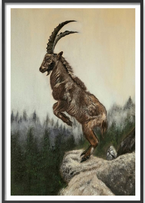 Leap of the Ibex