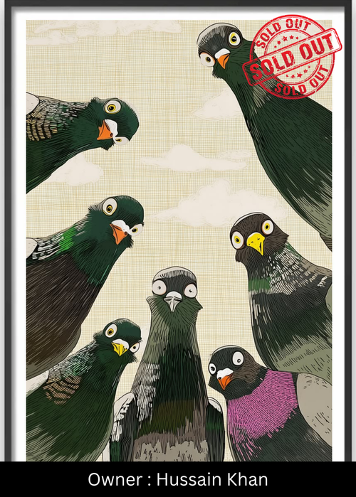 Birds-Eye View