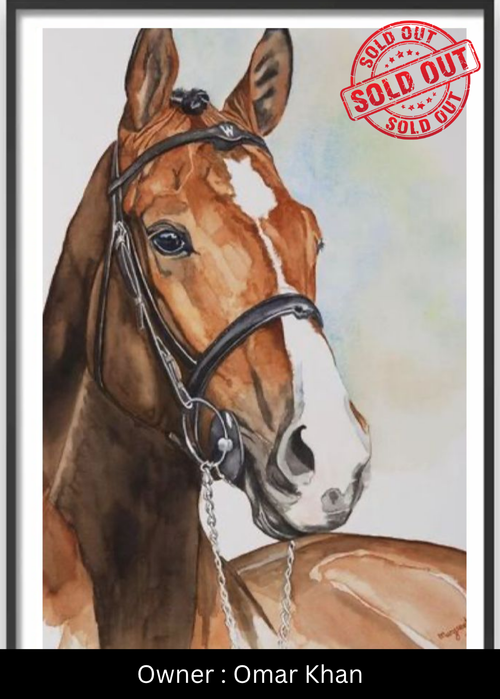 Equine Grace