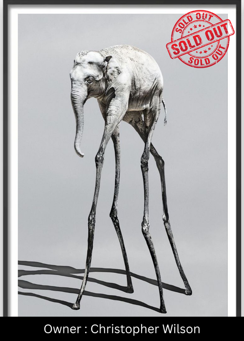Monochrome Slumber (The Spindly Elephant) – Exclusive Original Handmade Artwork - LUMIRA LOUNGE ART