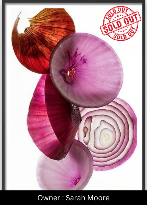 Layers of Light (The Botanical Composition) – Exclusive Original Handmade Artwork - LUMIRA LOUNGE ART